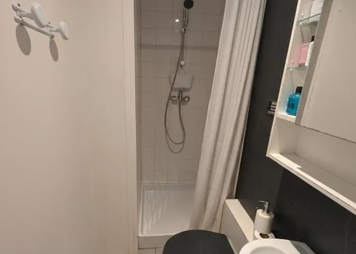 Cosy - Proche Zenith *